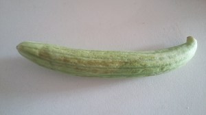 cucumber